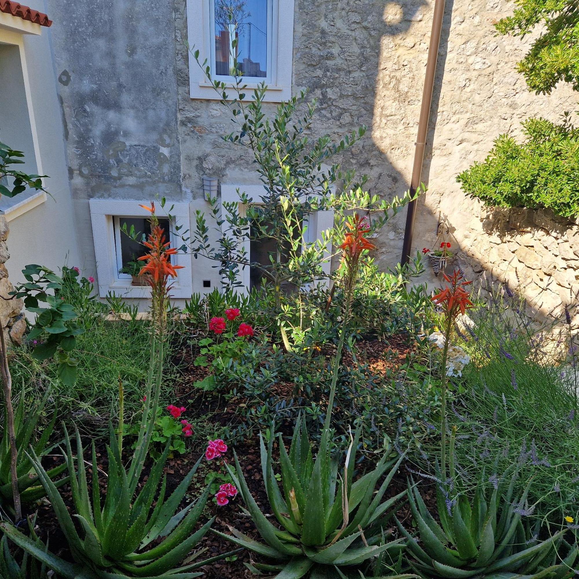 Appartement Castel à Mali Lošinj Extérieur photo