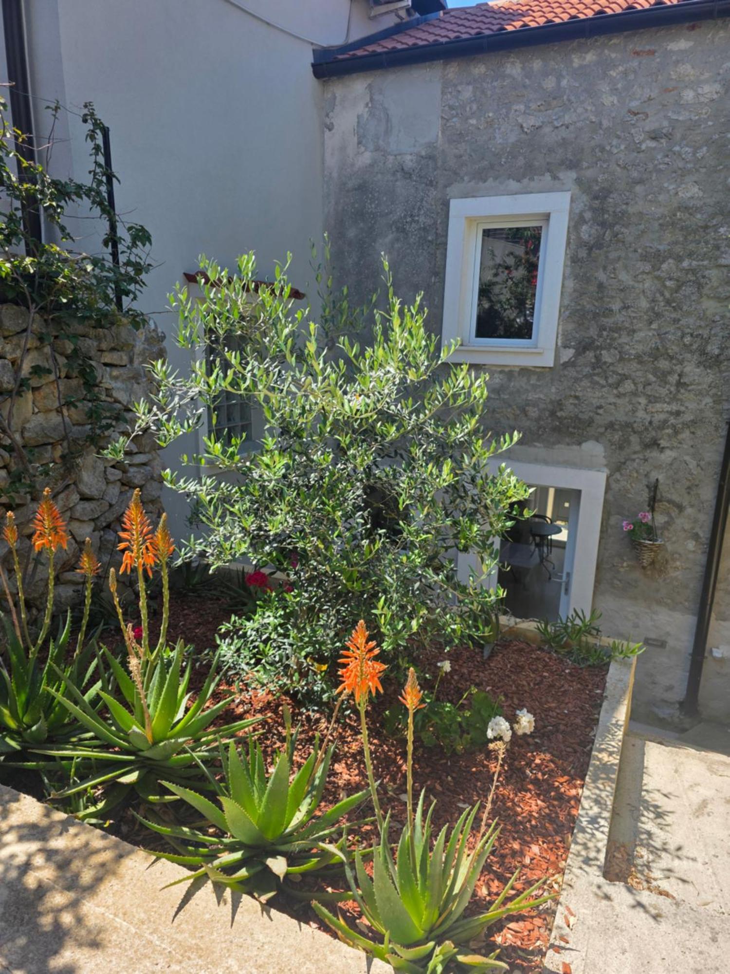 Appartement Castel à Mali Lošinj Extérieur photo